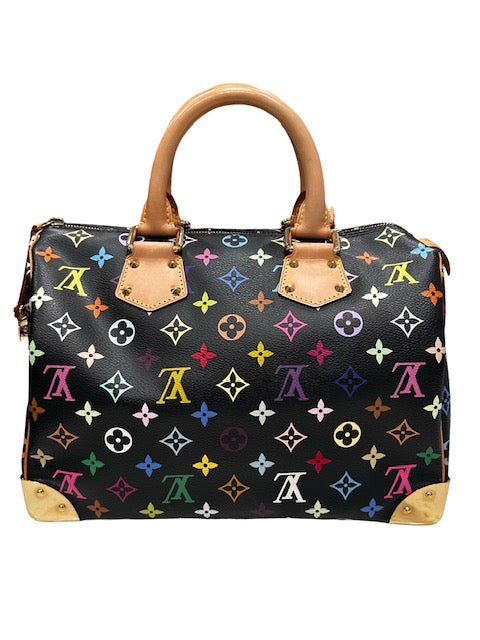 Louis Vuitton Multicolor Murakami Speedy 30