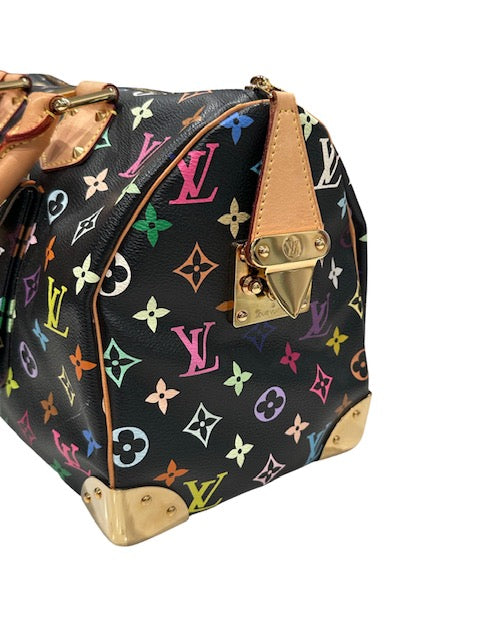 Louis Vuitton Multicolor Murakami Speedy 30