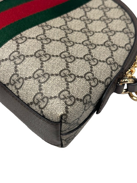 Gucci Ophidia Crossbody