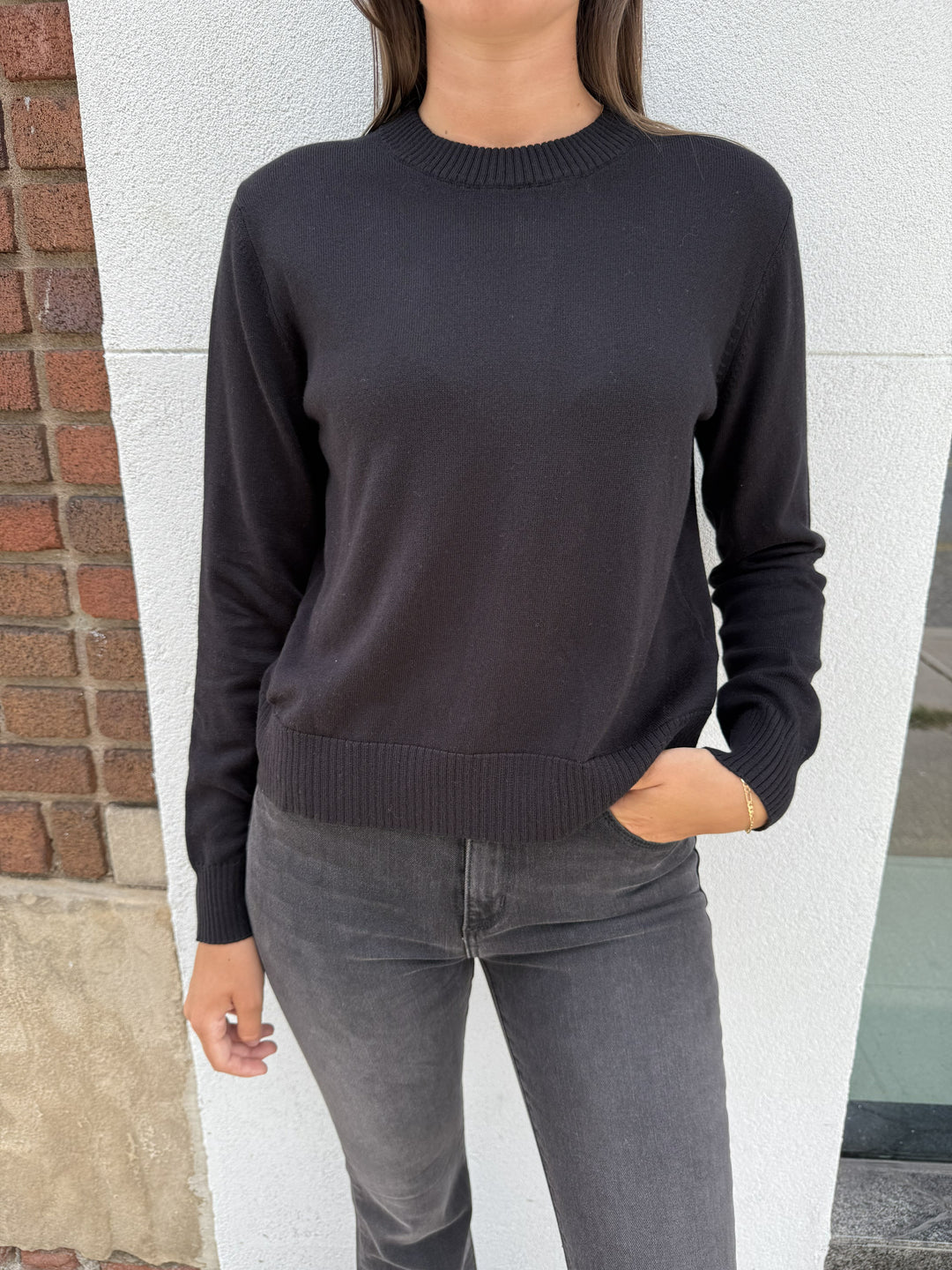 Alashan Cotton Cashmere Stacy Shrunken Crew Neck - Ebony