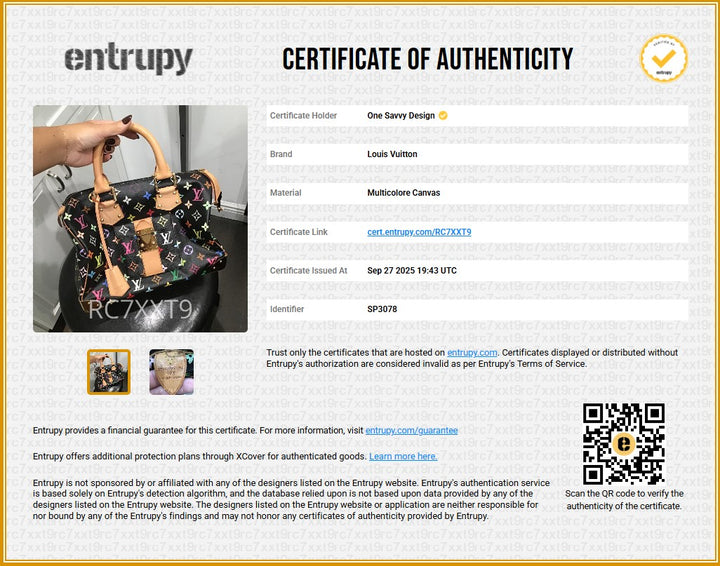 Louis Vuitton Multicolor Murakami Speedy 30