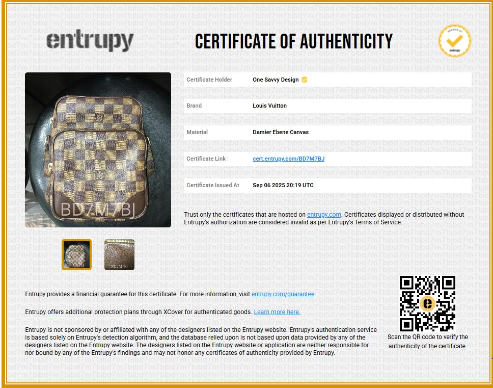 Louis Vuitton Damier Ebene Amazone