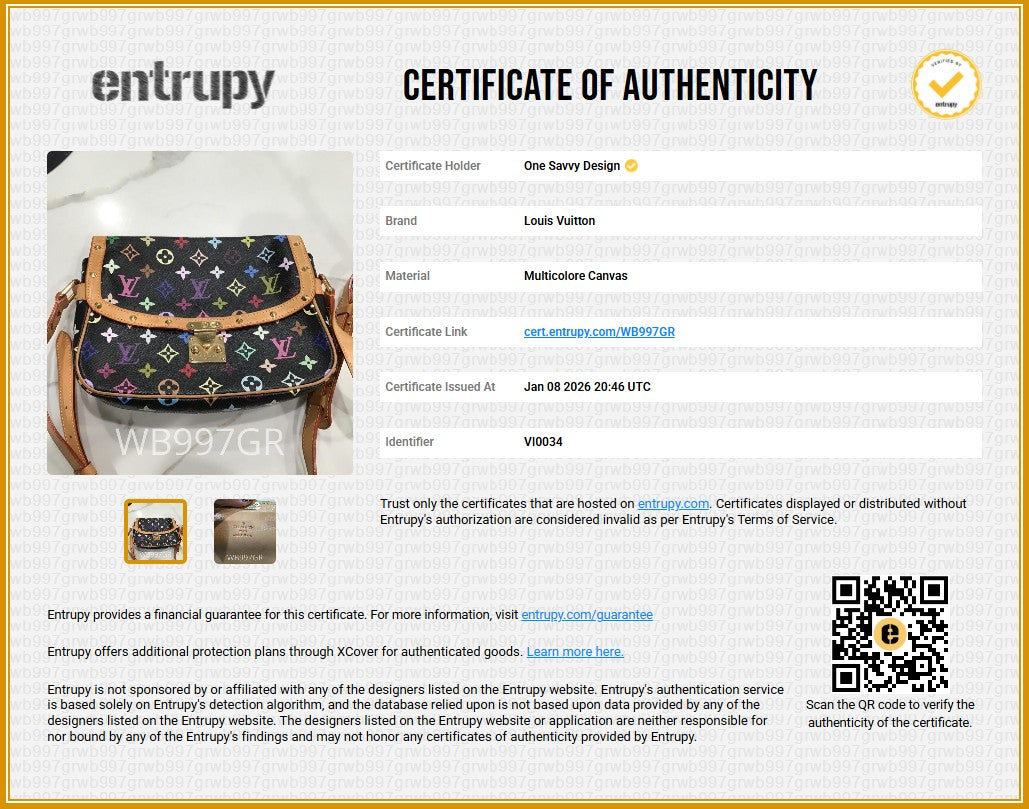 Louis Vuitton Murakami Sologne Crossbody