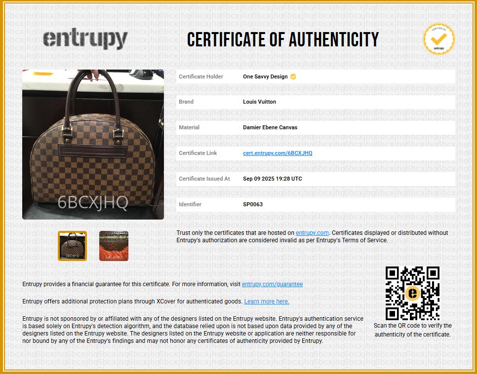 Louis Vuitton Damier Ebene Nolita
