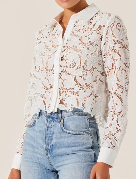 ASTR White Lace Long Sleeve Cropped Blouse