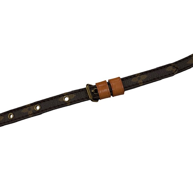 Louis Vuitton Danube Mini Crossbody